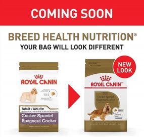 img 3 attached to 25 Lb Bag Of Royal Canin Adult Dry Dog Food Specifically Formulated For Cocker Spaniels