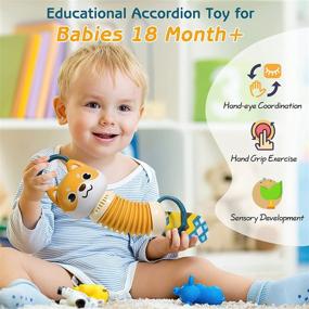 img 3 attached to Zooawa Musical Christmas Toys 18 Month+ For 2-4 Year Old Boys Girls, Toddler Learning Toy Baby Sensory Animal Dog Accordion Music Sound Travel Gift