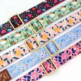 img 1 attached to Didog Cute Dog Collar For Small Medium Large Dogs, Female Flower Dog Collar Adjustable For Girls, Spring & Summer Dog Collar With Special Heart Fruit Pattern, Black, M