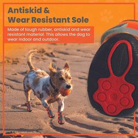 img 1 attached to Protector Reflective Breathable Waterproof Pavement Dogs