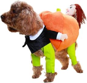 img 3 attached to 🎃 BlueSpace Pet Costume: Stylish Holiday Suit for Small Dogs and Cats - Perfect for Christmas and Halloween