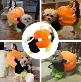 img 2 attached to 🎃 BlueSpace Pet Costume: Stylish Holiday Suit for Small Dogs and Cats - Perfect for Christmas and Halloween