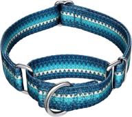 🐾 dazzber fashion print martingale dog collar - no pull training collar for medium and large dogs, silky soft and safety collar (medium, turquoise) логотип