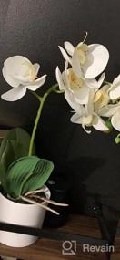 img 8 attached to Реалистичная белая орхидея U'Artlines в горшке для потрясающего домашнего декора, офисного или праздничного стола (маленький)