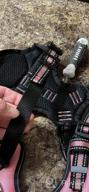 img 1 attached to WINSEE Pet Harness Collar And Leash Set, All-In-One Reflective Dog Harness No Pull With Adjustable Buckles For Puppies, Small, Medium, Large, And Extra-Large Dogs (Small, Black) review by Daionte Simpson