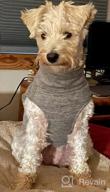 img 1 attached to KYEESE 2Pack Dog Coat Warm Turtleneck Stretchy Dog Sweater Super Soft Dog Cold Weather Coat For Small Dogs In Sleeveless Design, Grey,L review by Jarrett Young