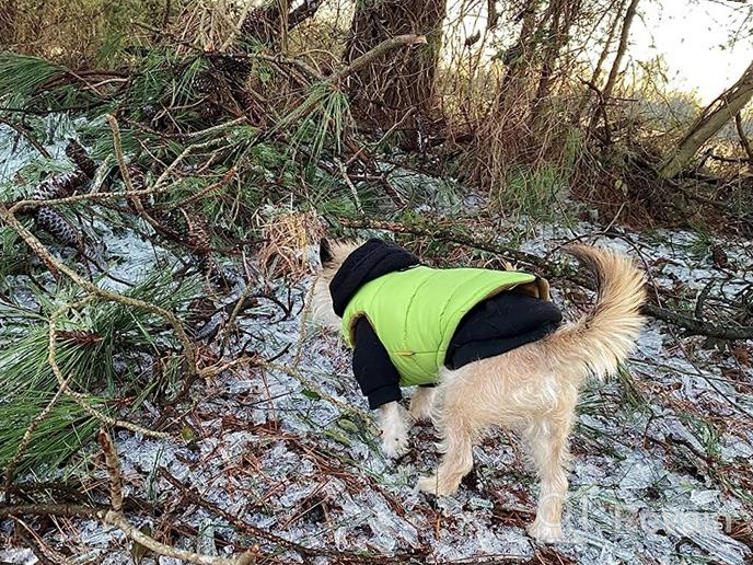 img 1 attached to Gooby Padded Vest Dog Jacket - Solid Pink, Medium - Warm Zip Up Dog Vest Fleece Jacket With Dual D Ring Leash - Water Resistant Small Dog Sweater - Dog Clothes For Small Dogs Boy And Medium Dogs review by Tony Basler