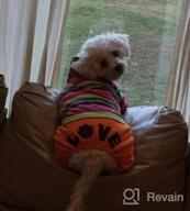 img 1 attached to FunnyDogClothes XS Orange Jumpsuit Fleece Rainbow Stripe Hoodie Coat Pants 10" Length 14" Chest review by Cindy Franklin