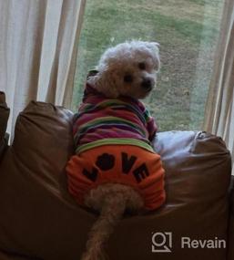 img 5 attached to FunnyDogClothes XS Orange Jumpsuit Fleece Rainbow Stripe Hoodie Coat Pants 10" Length 14" Chest
