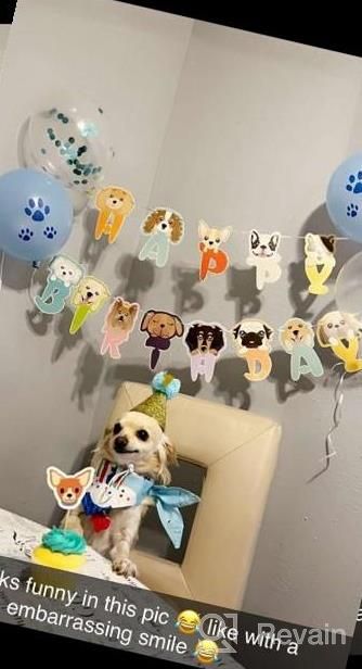 img 1 attached to 60PCS Dog Birthday Bandana Hat Set - Perfect For LOVESTOWN Dog Faces Party Banner Decorations & Favors! review by Beverly Smith