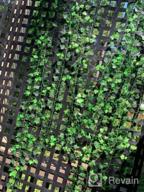 картинка 1 прикреплена к отзыву Artificial Ivy Leaf Plant Garland - 12 Strands, 91 Feet - Perfect For Home, Kitchen, Garden, Office, Wedding, And Wall Decor от Jason Hutchinson
