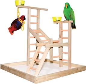 img 1 attached to 20-Inch Acrobird PL 20 Pet Toy with 2 Cups and Chains