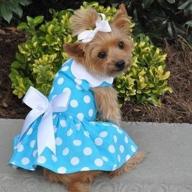 🐾 blue polka dot dog dress with leash & d-ring (medium) - doggie design логотип