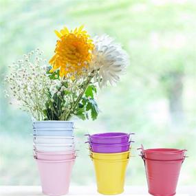 img 2 attached to 🎨 Assorted Colored Galvanized Mini Tin Buckets with Handles - Pack of 12 for Decoration, Crafts, Party Favors, and Centerpieces