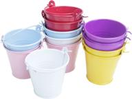 🎨 assorted colored galvanized mini tin buckets with handles - pack of 12 for decoration, crafts, party favors, and centerpieces logo