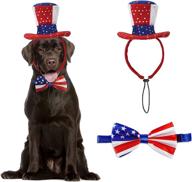 rypet american flag dog costume логотип