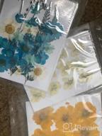 img 1 attached to Colorful Pressed Flowers & Leaves For Crafts - Vignee 47 PCS Real Dried Petals For Jewelry Making & DIY Accessories (Style A) review by Kari Harden