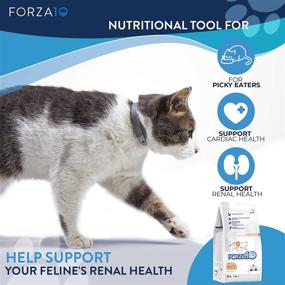 img 1 attached to 🐟 Forza10 Renal Diet Dry Cat Food: Active Kidney Support for Adult Cats with Heart and Kidney Issues - Wild Caught Anchovy Flavor