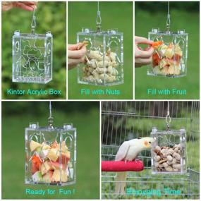 img 1 attached to Large KINTOR Parrot Creative Foraging Toy Feeder Bird Cage: 4.8x3.6x2.6inch Size