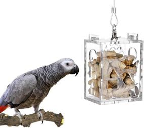 img 4 attached to Large KINTOR Parrot Creative Foraging Toy Feeder Bird Cage: 4.8x3.6x2.6inch Size
