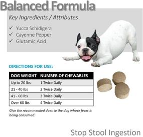 img 1 attached to 🚫 Put an End to Stool Eating: Vet Worthy Stop Stool Ingestion - Preventive Dog Supplement with Yucca, Parsley, and Chamomile - Liver Flavor, 60 Chewable Tablets