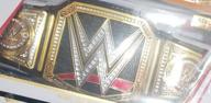 img 1 attached to Official WWE World Heavyweight Championship Title Belt (2014) - Unisex, Multicoloured, One Size review by Luis Harper