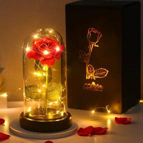 img 4 attached to CGBOOM Beauty And The Beast Immortal Rose Gift Set: Decorative LED Lamp With Forever Flower In Glass Dome And Wooden Base - Perfect For Christmas, Valentine'S Day, And Mother'S Day Gifts For Lovers