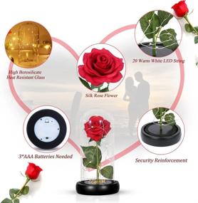 img 3 attached to CGBOOM Beauty And The Beast Immortal Rose Gift Set: Decorative LED Lamp With Forever Flower In Glass Dome And Wooden Base - Perfect For Christmas, Valentine'S Day, And Mother'S Day Gifts For Lovers