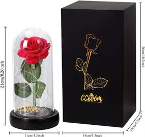 img 2 attached to CGBOOM Beauty And The Beast Immortal Rose Gift Set: Decorative LED Lamp With Forever Flower In Glass Dome And Wooden Base - Perfect For Christmas, Valentine'S Day, And Mother'S Day Gifts For Lovers