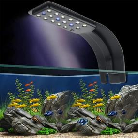img 2 attached to Water Rebirth Aquarium Clip Пресноводное освещение
