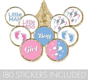 img 1 attached to Gender Reveal Party Stickers - 180 Labels For Baby Shower Favors