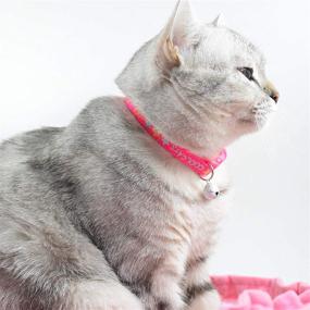 img 2 attached to Collar Adjustable Kitten Collars Safety Cats