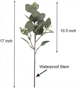 img 2 attached to 6 шт. 17-дюймовые стебли эвкалипта с семенами - искусственный декор венка для дома, офиса, свадебного банкета