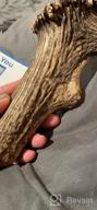 img 1 attached to K9Warehouse Small Elk Antler Dog Chews - Long-Lasting & Odor-Free For Aggressive Chewers, Suitable For Small To Large Dogs (5 To 20 Lbs), Whole Antlers Measuring 4"-5 review by Nate Jenkins