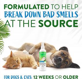 img 1 attached to TropiClean Lime & Coconut Deodorizing Spray For Fresh-Smelling Pets, 8Oz | Made In USA | Paraben-Free | Dye-Free | Breaks Down Odors