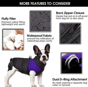 img 2 attached to KOESON Waterproof Dog Winter Jacket with Dual D Ring Leash for Cold Weather - Warm Padded Vest Coat, Zip Up Sports Outwear Pet Apparel for Small Medium Large Dogs