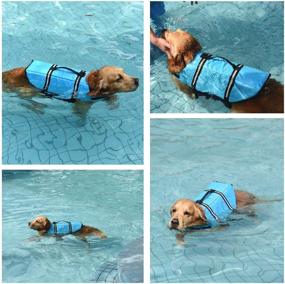 img 3 attached to 🐶 Doglay Dog Life Jacket - Reflective Striped Vest, Adjustable Lifesaver with High Buoyancy Swimsuit for Small, Medium, and Large Dogs