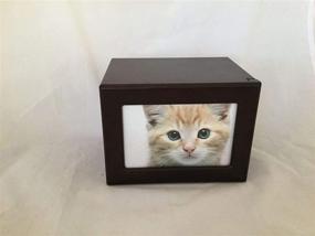 img 4 attached to Peaceful Memorial Keepsake Cremation Animal Cats ~ Memorials & Funerary