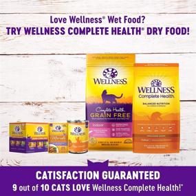 img 1 attached to Wellness Complete Health Grain Free Wet 🐱 Cat Food: Natural, Healthy, and No Artificial Additives