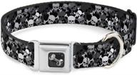 buckle down seatbelt dog collar dogs : training & behavior aids logo