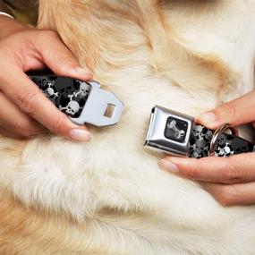 img 3 attached to Buckle Down Seatbelt Dog Collar Dogs : Training & Behavior Aids