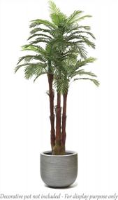 img 1 attached to AMERIQUE AMPHP6FTPK2 Pair Gorgeous & Unique 6 Feet Triple Trunk Phoenix Palm Artificial Plant Tree, Real Touch Technology, With UV Protection, Super Quality, 6' Each, Emerald Green, 2