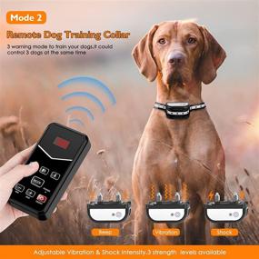 img 3 attached to 🐶 2022 Беспроводной забор для собак: 2 в 1 электрический забор и пульт для тренировки на больших/маленьких собак - водонепроницаемая система ограждения для животных с устойчивым 2,4Г сигналом.