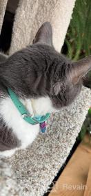 img 8 attached to Safe And Stylish Leather Cat Collar With Elastic Strap And Bell - Neck Fit 9"-11", Available In Vibrant Colors