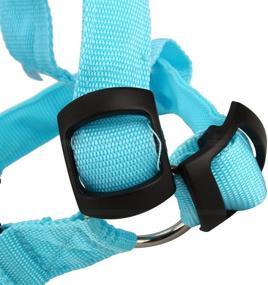 img 1 attached to 🐕 Yosoo M Blue LED Flashing Dog Walking Belt Harness Leash with Strong Nylon Webbing Tether for Pet Safety - Comfortable S Vest for Large Medium Dogs