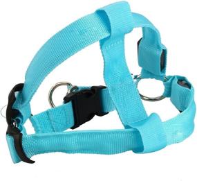 img 3 attached to 🐕 Yosoo M Blue LED Flashing Dog Walking Belt Harness Leash with Strong Nylon Webbing Tether for Pet Safety - Comfortable S Vest for Large Medium Dogs