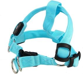 img 2 attached to 🐕 Yosoo M Blue LED Flashing Dog Walking Belt Harness Leash with Strong Nylon Webbing Tether for Pet Safety - Comfortable S Vest for Large Medium Dogs