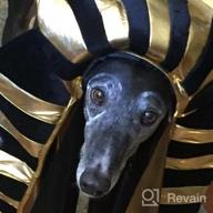 img 1 attached to Black And Gold Egyptian Pharaoh Headdress Crown Hat: King Tut Costume Headpiece For Men And Women review by Jordan Perez