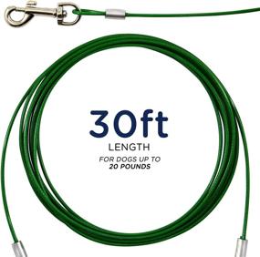 img 1 attached to Ben-Mor Zinco 30ft Dog Tie-Out Cable for 20lbs Small Breed Dogs & Pets - Heavy-Duty 360° Rotating Double Swivel Cable Cord for Training, Camping, or Backyard Use - Green