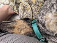 картинка 1 прикреплена к отзыву Soft Neoprene Padded Breathable Nylon Pet Collar - Joytale Reflective Adjustable Dog Collar For Large Dogs, Black, L от Collin Donahue
